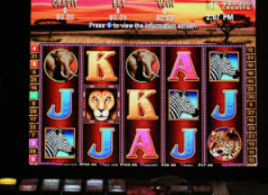 摇钱树捕鱼下载桌面版客户端