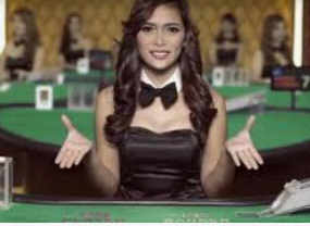 摇钱树捕鱼下载免费版